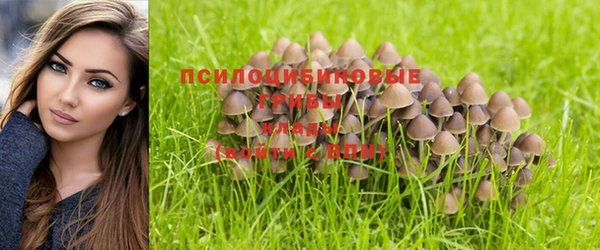 прущий лед Алзамай