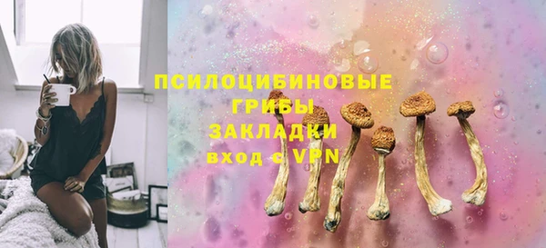 прущий лед Алзамай